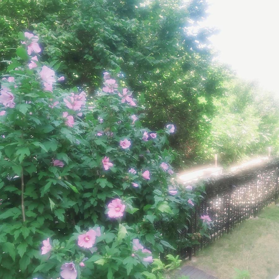 Saint Nicholas Varna Lovely 2 Bedroom Apartment With Sunny Garden Eksteriør bilde